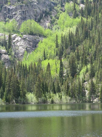 IMG_3851